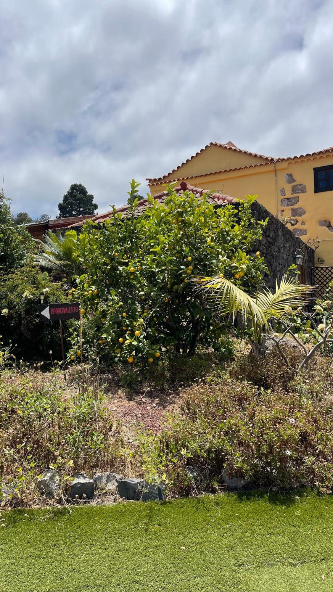 Casonas De Marengo Guest House อิคอดเดลอสวินอส ภายนอก รูปภาพ
